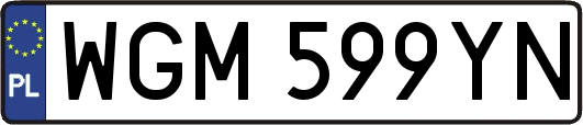 WGM599YN