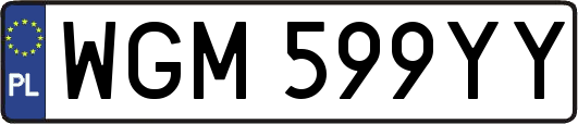 WGM599YY