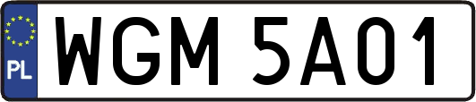 WGM5A01