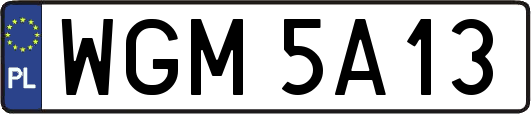 WGM5A13