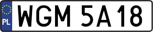 WGM5A18