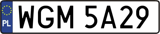 WGM5A29