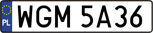 WGM5A36