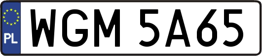 WGM5A65