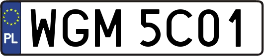 WGM5C01