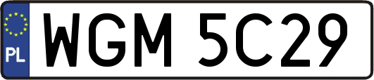 WGM5C29