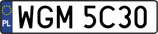 WGM5C30