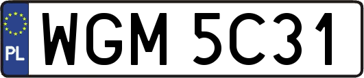 WGM5C31