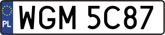 WGM5C87