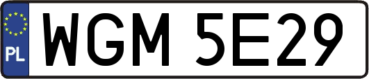 WGM5E29