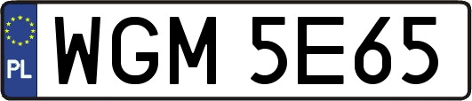 WGM5E65