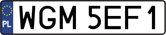 WGM5EF1