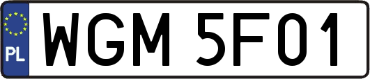 WGM5F01