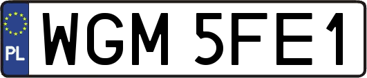 WGM5FE1