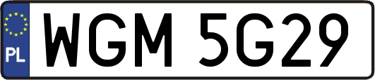WGM5G29