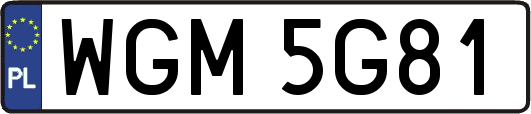 WGM5G81