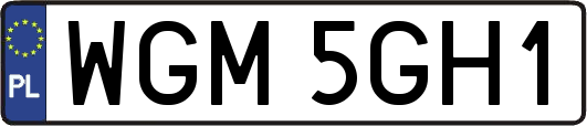 WGM5GH1