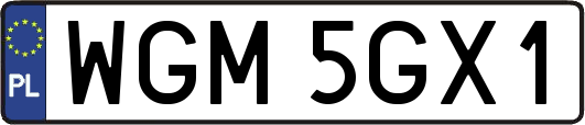 WGM5GX1