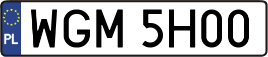 WGM5H00