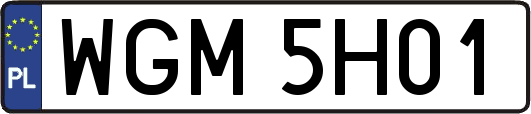 WGM5H01