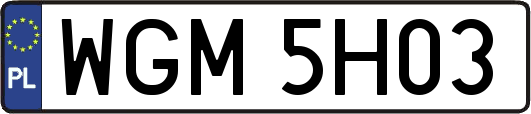 WGM5H03
