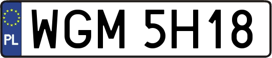 WGM5H18