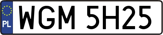 WGM5H25