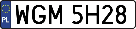 WGM5H28