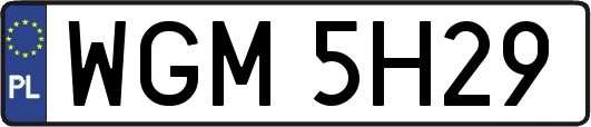 WGM5H29