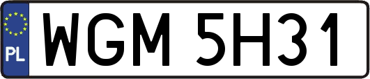 WGM5H31