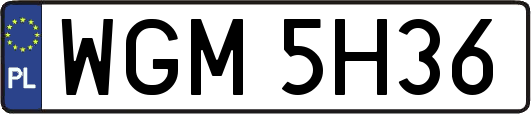 WGM5H36