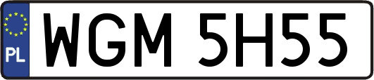 WGM5H55