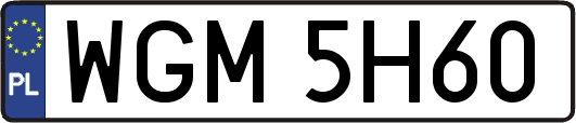 WGM5H60