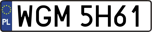 WGM5H61