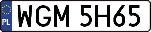 WGM5H65