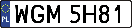 WGM5H81