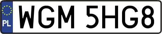 WGM5HG8