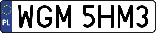 WGM5HM3