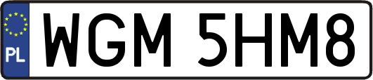 WGM5HM8
