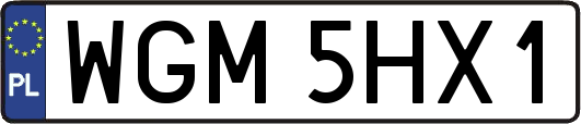 WGM5HX1