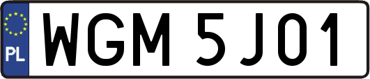WGM5J01
