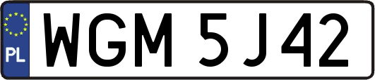 WGM5J42
