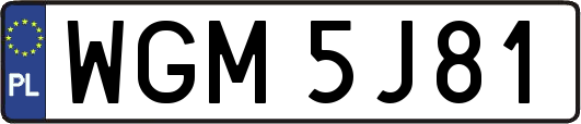 WGM5J81