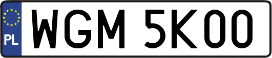 WGM5K00