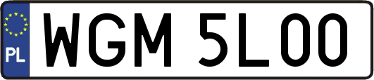 WGM5L00