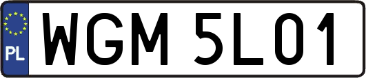 WGM5L01