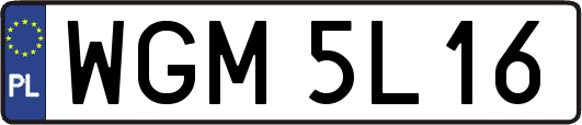 WGM5L16