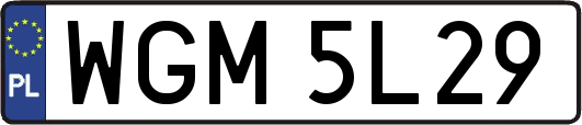 WGM5L29