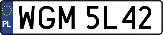 WGM5L42