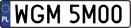 WGM5M00
